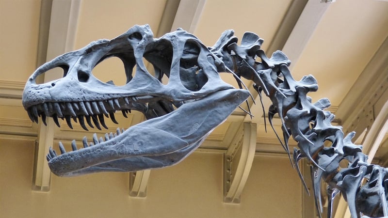 Surviving Dinosaurs